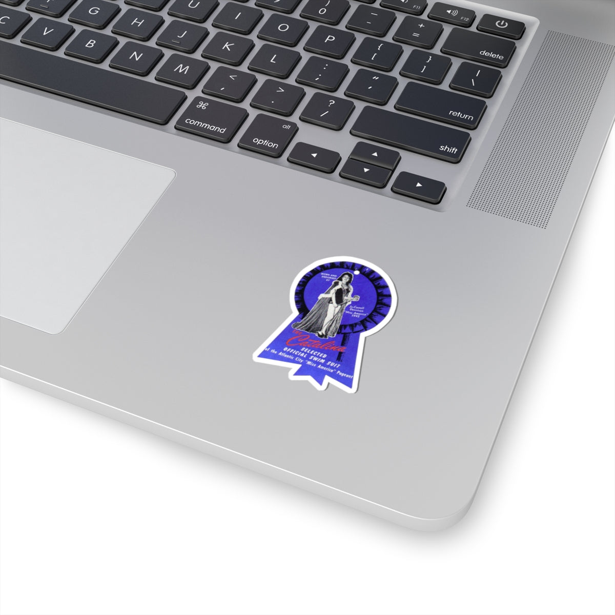 Jo Carroll Blue Ribbon Sticker